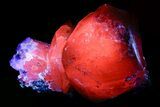 Large Vitreous Calcite Crystal Cluster - Fluorescent! #351776-2